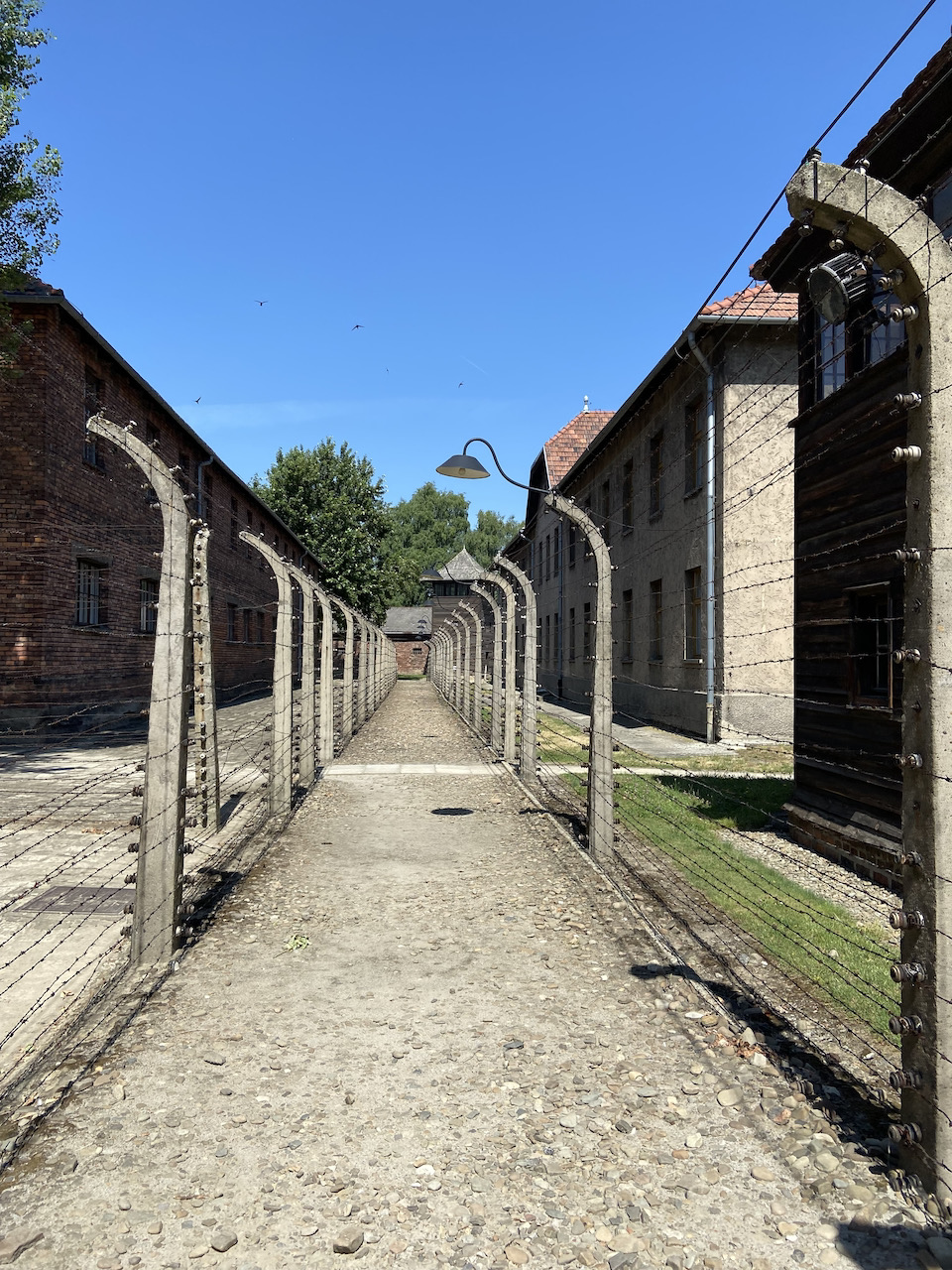 Jg09-Birkenau2